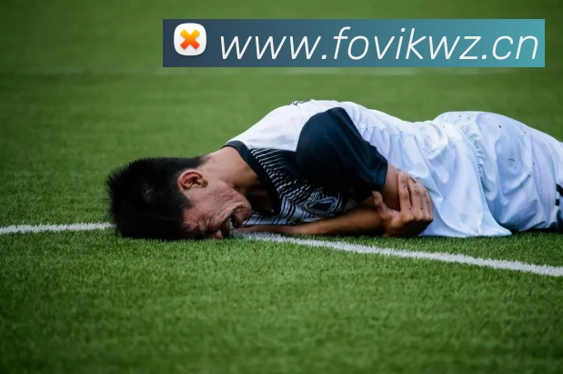 米乐|米乐·M6(米乐m6易游)官方网站平台生态图